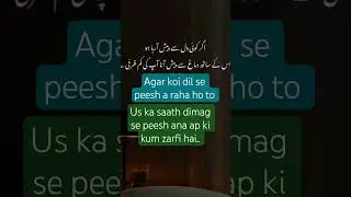 kamzarfi Mt dekhaya #poetry #cover #entertainment #infoworld0324