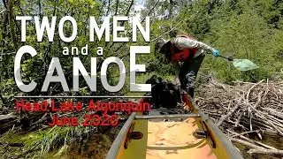 Backcountry Camping in Algonquin - Head Lake - June 2020