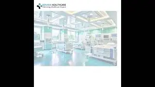 Hospital Project Delivery Plan
