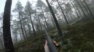 Jaktsesongen 2025 (Skogsfugl)