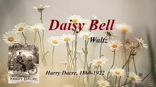 Daisy Bell waltz.    No.1279  Polyphon 15 1/2&rdquo;