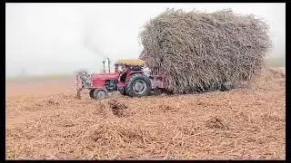 AJ tractor NY himat kr dii