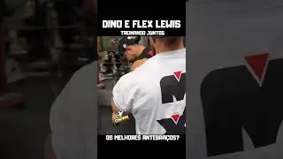 TREINO DE TR&Iacute;CEPS- FLEX E DINO #treino #ramondino #flexlewis