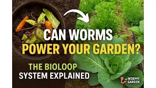 BioLoop The Self Sustaining Garden Revolution