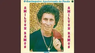 O garimpeiro