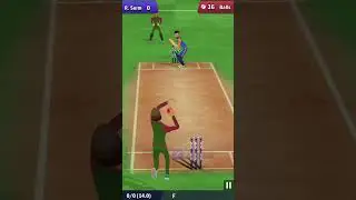 King of cricket game