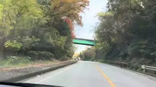 Japan Drive Autumn 