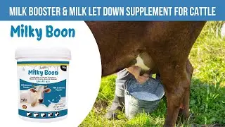 Milkyboon - Milk Booster & Milk Let Down Supplement For Cattle