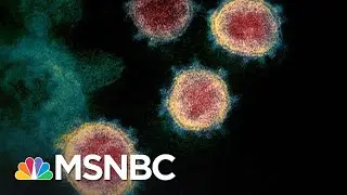 Pros And Cons Of Johnson & Johnson's Covid Vaccine | The 11th Hour | MSNBC