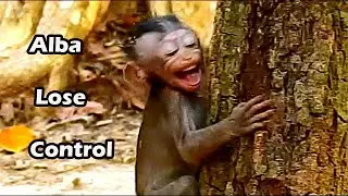 Alba Cry Jerking Body Angry Mum Anna Don't Care With Her|Young Baby Alba Cries Lose Control Cos Hurt