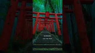 Top mysterious Best shrines in Japan to visit underrated travel destinations 2025 神社 #japantravel
