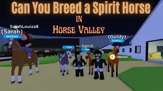 We have some news about breeding the Spirit Horse in Roblox Horse Valley ! Can you make a Foal ?