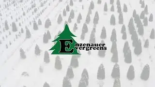 Enzenauer Evergreens Drone Overhead