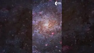 FRB 121102 &ndash; The Repeating Signal from Deep Space