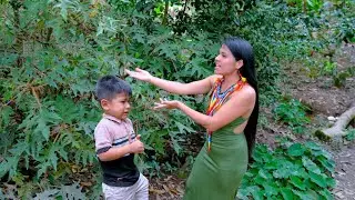Miracle plant for rebellious children