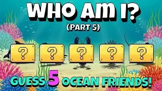 Who Am I? Guess 5 Mystery Sea Creatures!