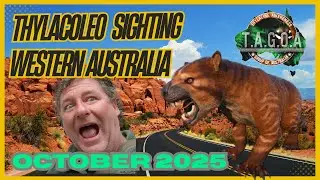 Marsupial Lion/Thylacoleo Carnifex LIVES!!! sighted in October 2025 in Western Australia, with Ray.