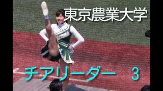 入替戦　熱演のチアリーダー　東京農業大学　3 /チアダンス cheer dance