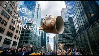 CATMAN REBORN | NEW HERO CATMAN IS READY TO HELP #catman