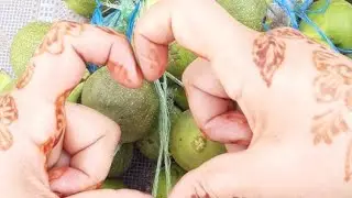 صباح الخير 🫶🫶🫶🫶🫶🫶🫶🙆‍♀️🙆‍♀️🙆‍♀️🙆‍♀️🙆‍♀️🌹🌹🌹🌹🌹🌹🌹🌹🌹🌹🌹🌹🌹🌹🌹💁‍♂️👍🏻👍🏻👍🏻