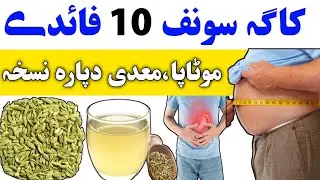 Fennel Seeds Benefits In Pashto | Benefits of Fennel Seeds for Digestion Weight Loss & Health Pashto
