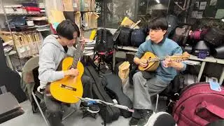 素朴な歌
