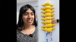 🤣👌👌👌2026pov Must-Watch Crazy Clips Compilation #humor #fypシ #pov #fyp #foryou 😍😜