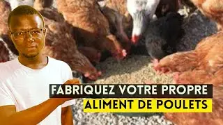 Formation En Alimentation : Composition des Formules Alimentaires 