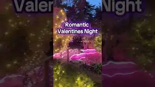 Romantic Valentines Night #123farms