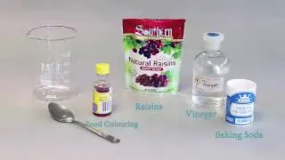 Science Experiment: Raising Raisins
