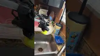 Autonomous robot dishwasher