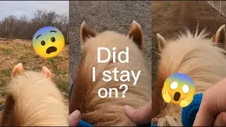 Trail ride gone WRONG! |&bull; Presley H &bull;|