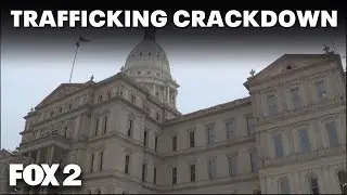 Michigan lawmakers push for new crackdown on human trafficking