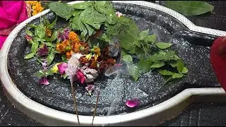 वैद्यनाथ ज्योतिर्लिंग दर्शन 01/01/2026 गुरुवार 🚩