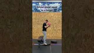Goblet pistol squat to a target