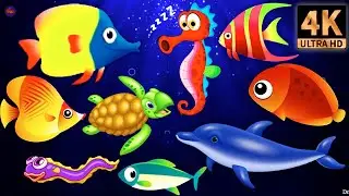 Mozart & Brahms Lullabies 💤 Baby Sleep Music to Fall Asleep Fast & Beat Insomnia#220