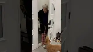 Daughter meets new babysitter for the first time #shorts