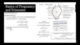 Critical DHA Mistakes To Avoid In Maternal Nursing Care