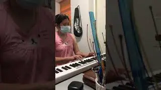 Amazon Lexington 88-key splicing piano for beginners.