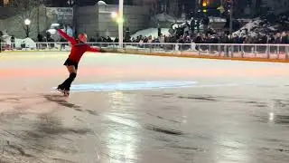 A Salute to the Winter Games - Sonja Hilmer