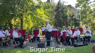 Washington State Letter Carriers Band The Locks 2024