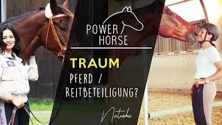 Traum Pferd oder Reitbeteiligung?