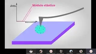 MICROSCOPIO DE FUERZA ATÓMICA PROYECTO