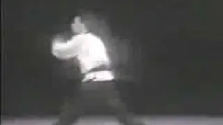 Bei Shaolin Quan