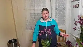 Розыгрыш орхидеи Каменная роза 😍😍😘