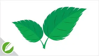 Green leaf Drawing with CorelDraw | Flat Vector Style | Drawing | CorelDraw Tutorial