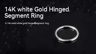 14K White Gold Piercing Jewelry (Hinged Segment Ring)#14kgold #piercingjewelry #bodypiercing