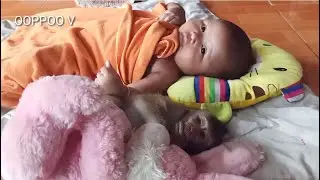 Smart Monkey Janny Sleep with Baby Rida very adorable