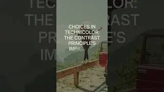 The Contrast Principle in Decision Making #leadership #neuroscience #storytelling #motivation