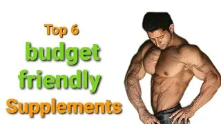 Top 6 budget friendly supplements for beginners